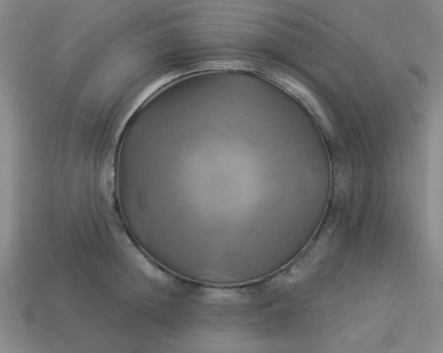 X0000114100852200910191640