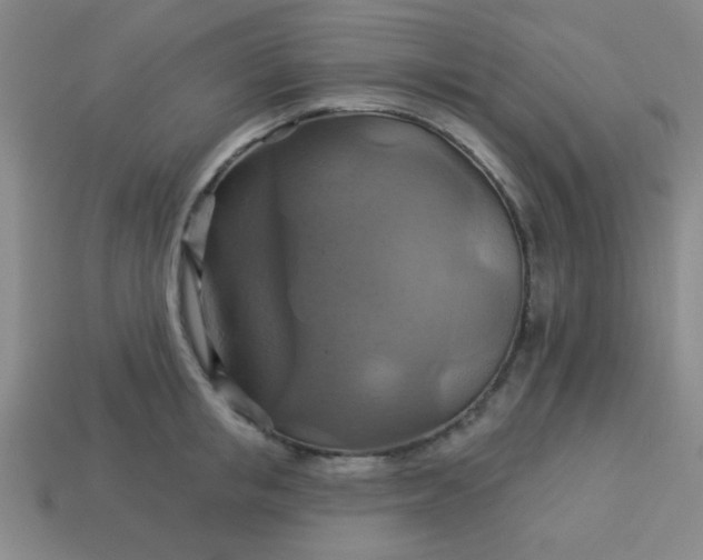 X0000114100853200910191640