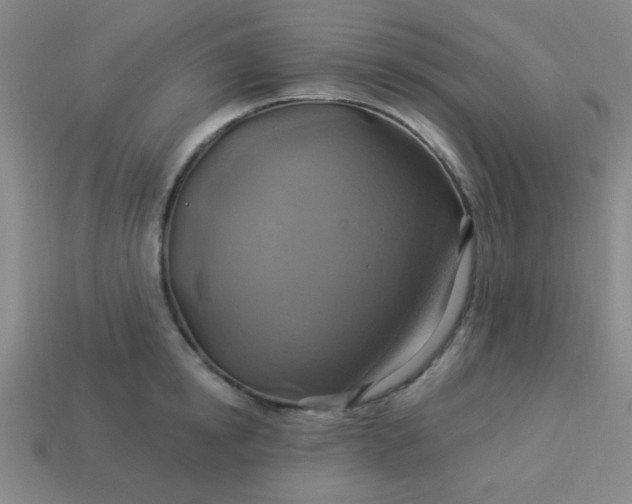 X0000114100854200910191640