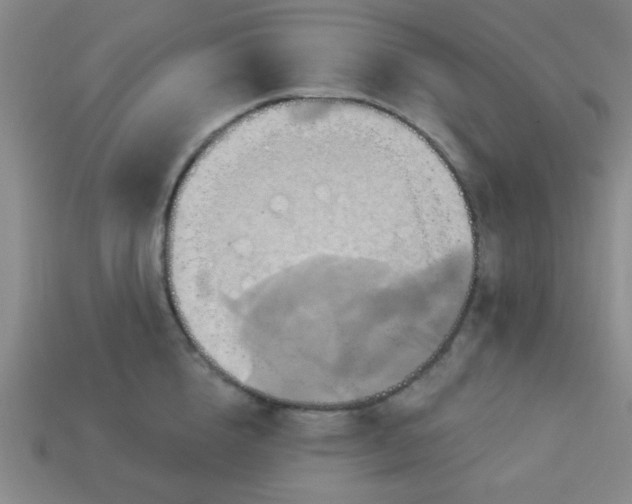 X0000114100856200910191640