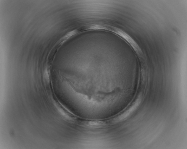 X0000114100857200910191640