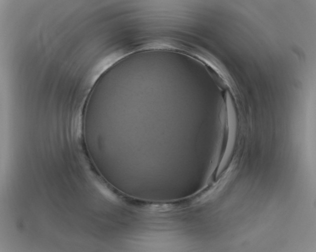 X0000114100858200910191641