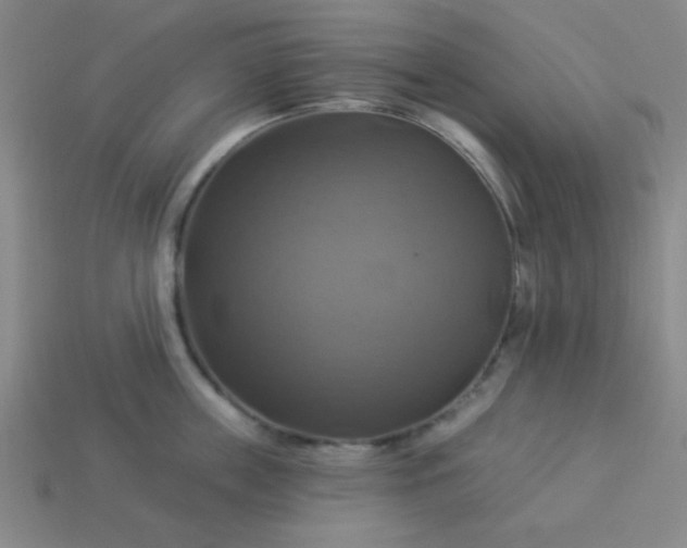 X0000114100859200910191641