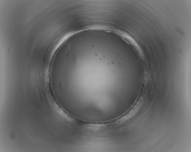 X0000114100860200910191641