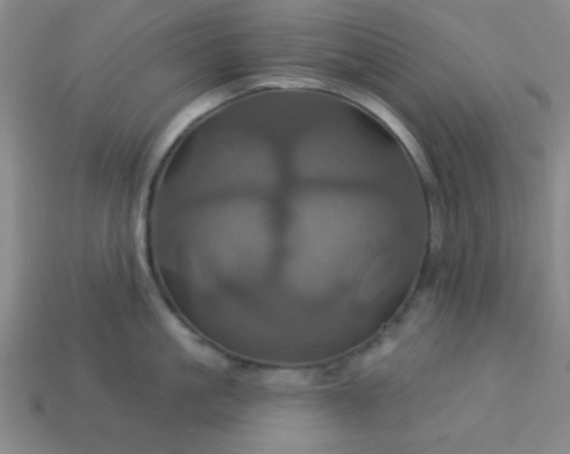 X0000114100861200910191641