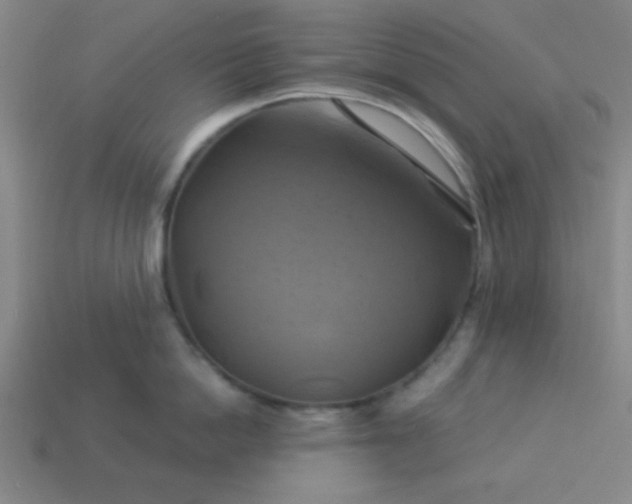 X0000114100862200910191641