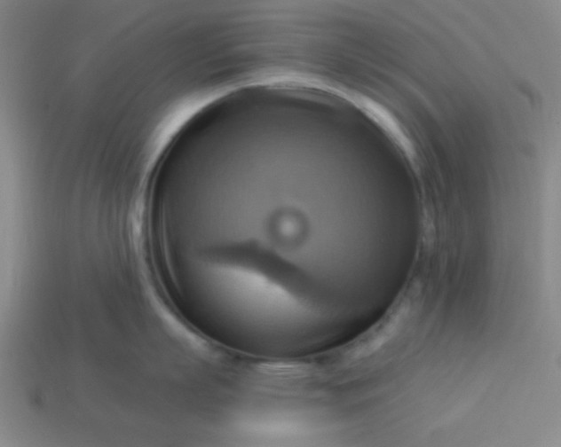 X0000114100863200910191641