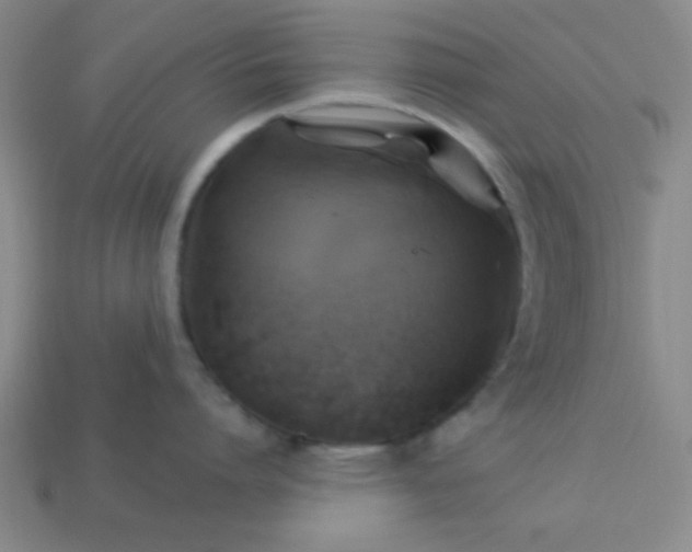 X0000114100864200910191641