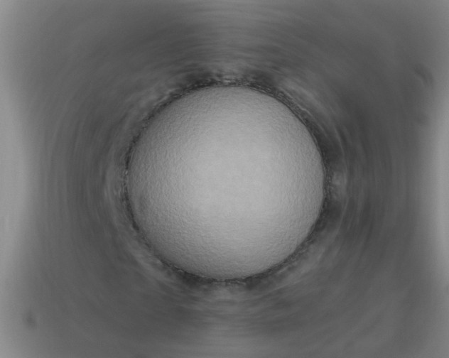 X0000114100865200910191640