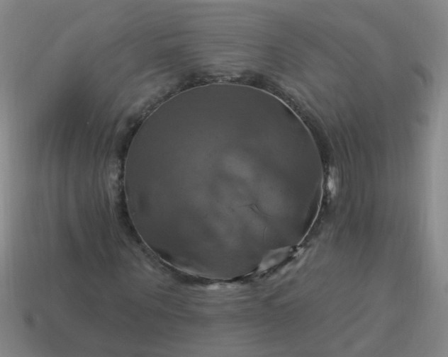 X0000114100867200910191640