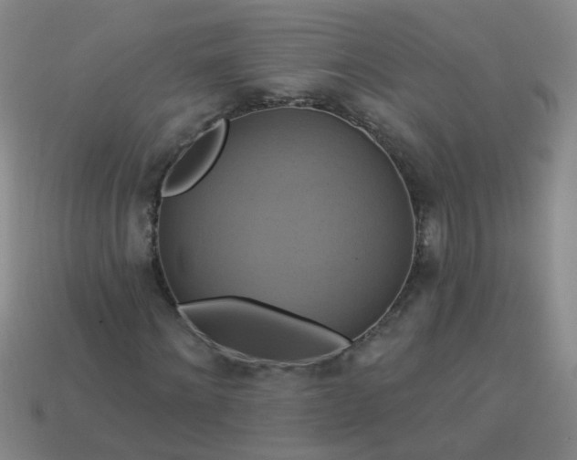 X0000114100868200910191640