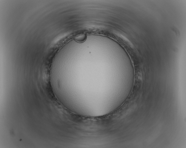 X0000114100869200910191640