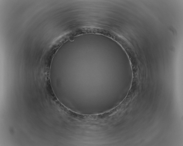 X0000114100870200910191640