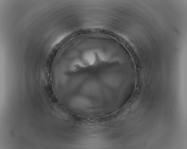 X0000114100871200910191640