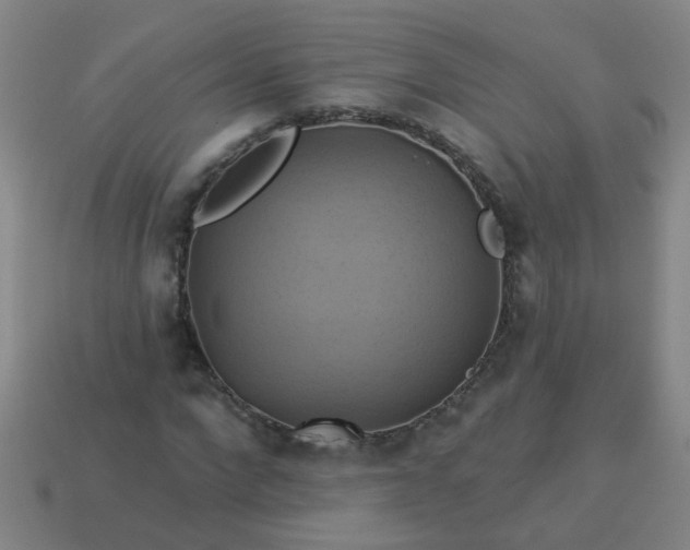 X0000114100872200910191640