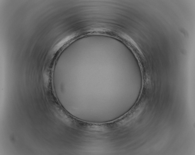 X0000114100874200910191640