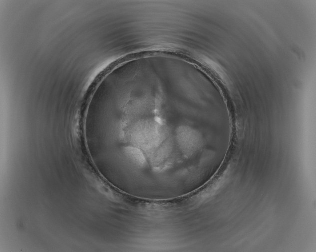 X0000114100875200910191640