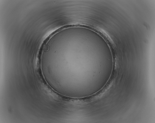 X0000114100876200910191640