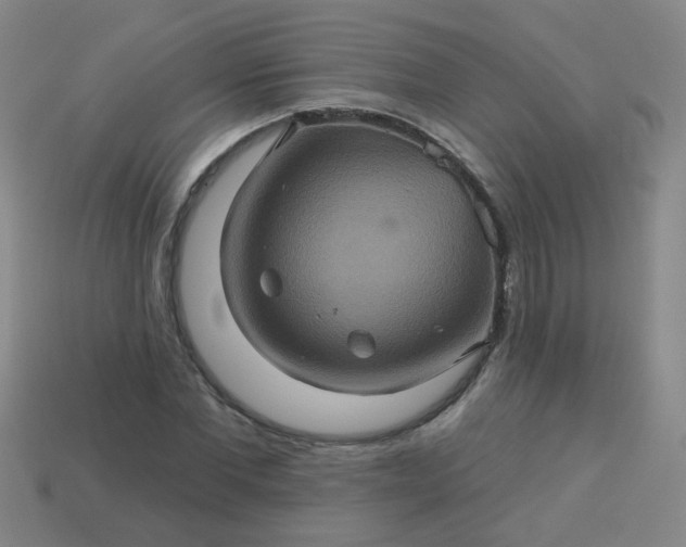 X0000114100877200910191640