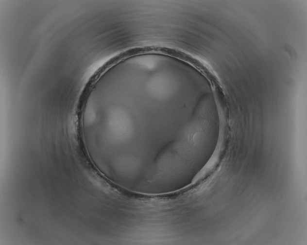 X0000114100879200910191640