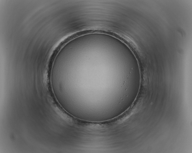 X0000114100880200910191640