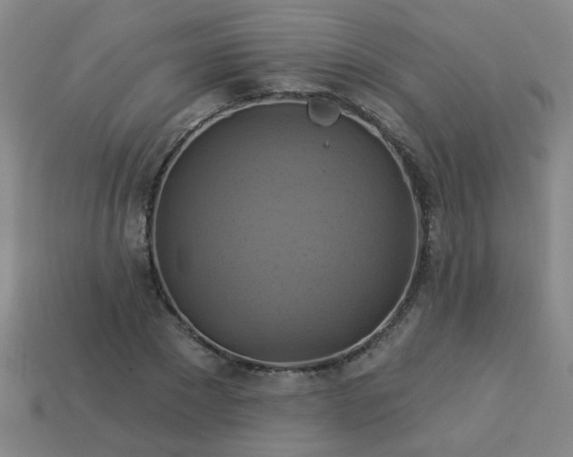 X0000114100881200910191640