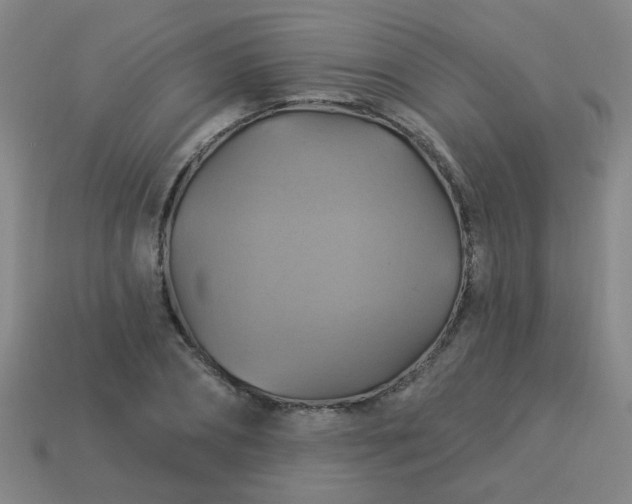 X0000114100882200910191640