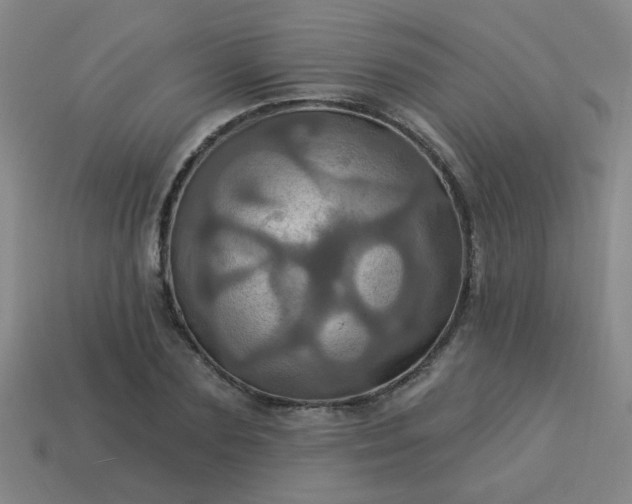 X0000114100883200910191640