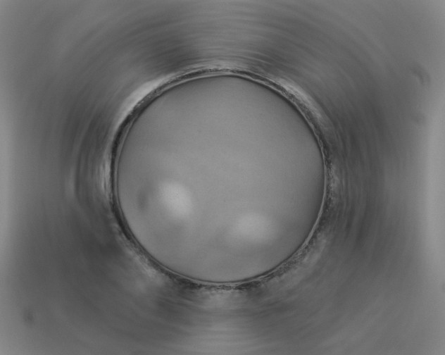 X0000114100886200910191640