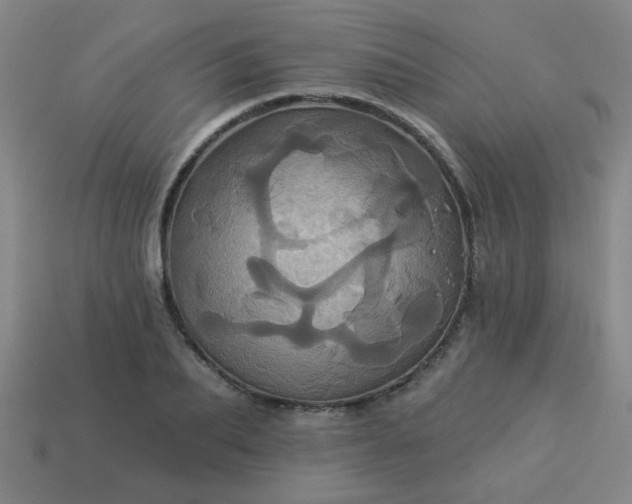 X0000114100887200910191640