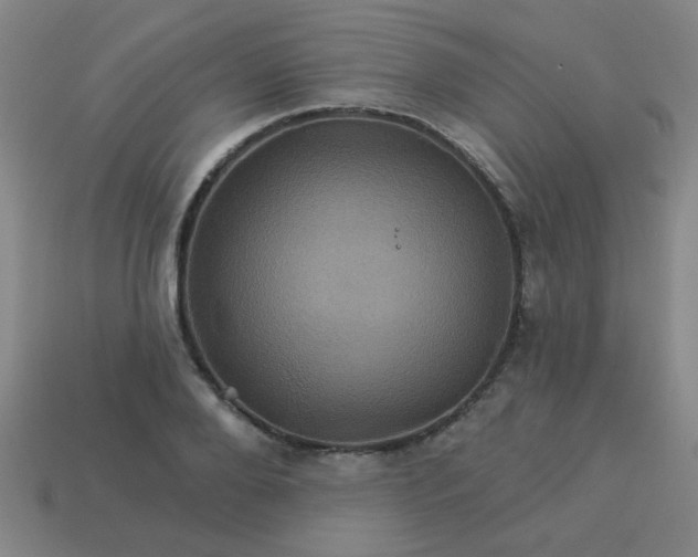 X0000114100888200910191640