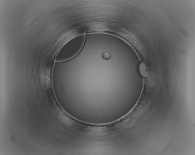 X0000114100889200910191640