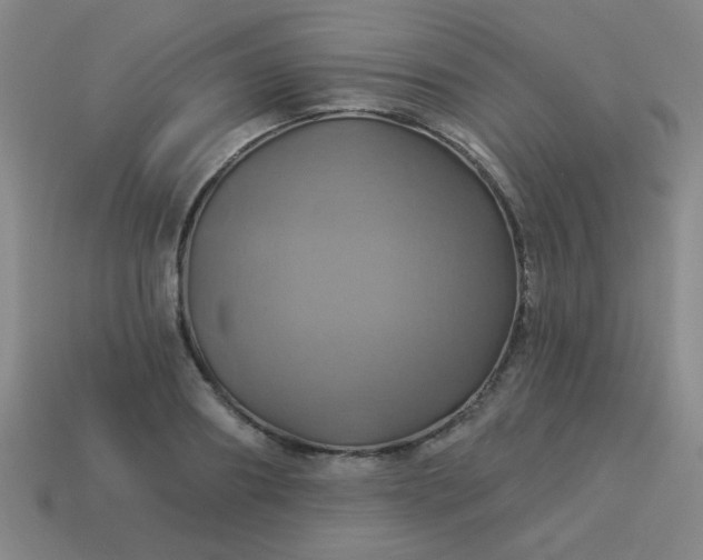 X0000114100890200910191640