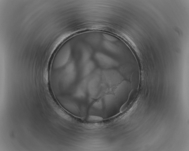 X0000114100891200910191640