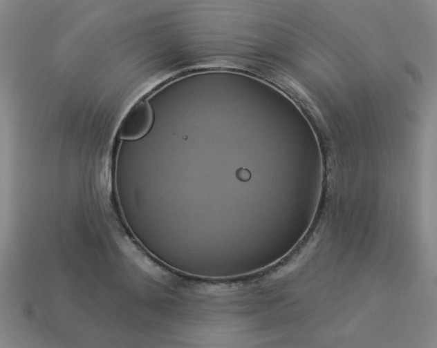 X0000114100892200910191640