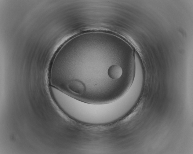 X0000114100893200910191640