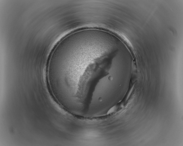 X0000114100895200910191640