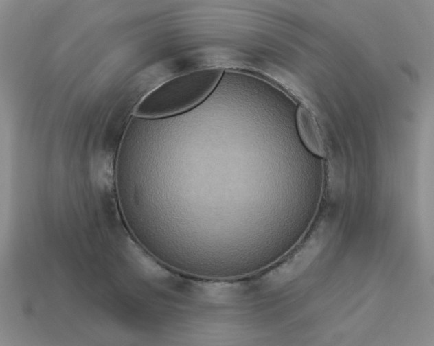 X0000114100897200910191640