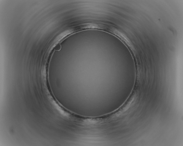 X0000114100898200910191640