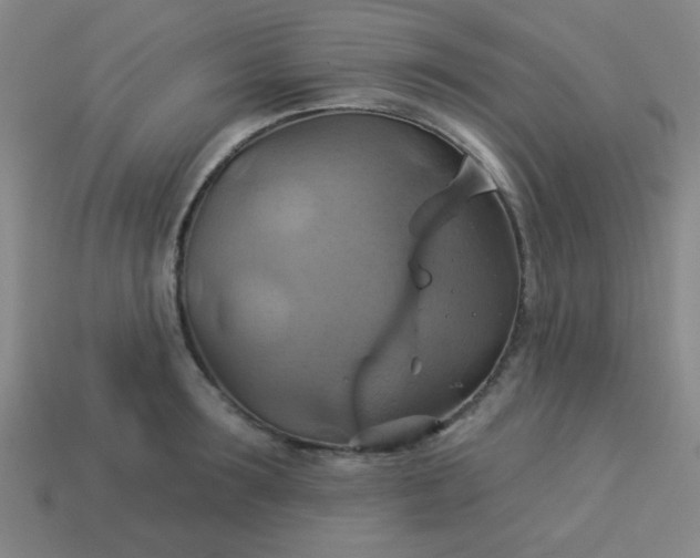 X0000114100899200910191640