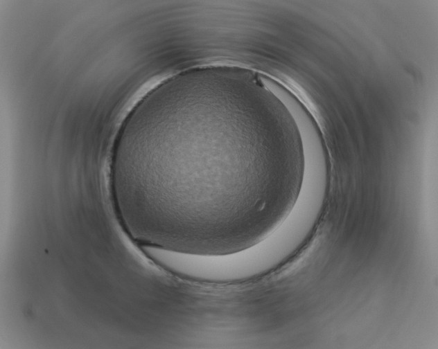 X0000114100901200910191640