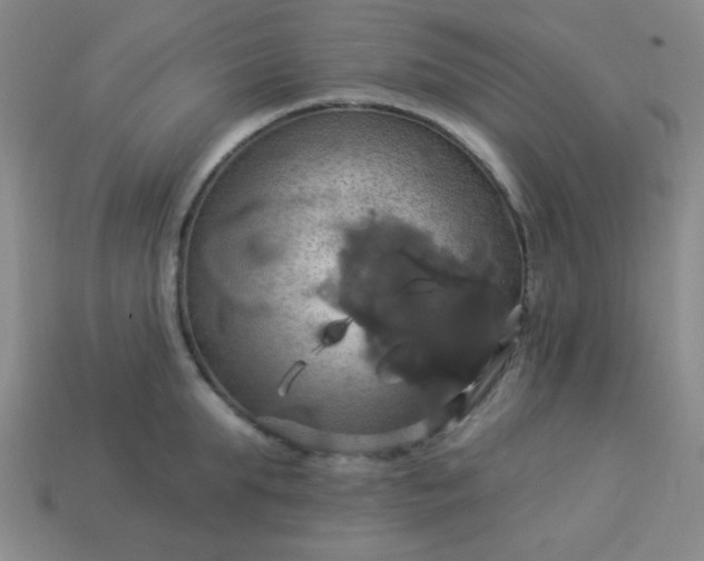 X0000114100903200910191639