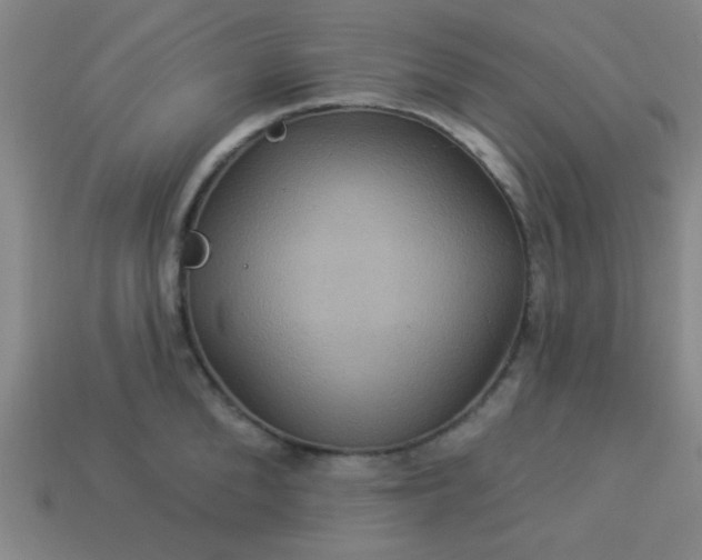 X0000114100904200910191639