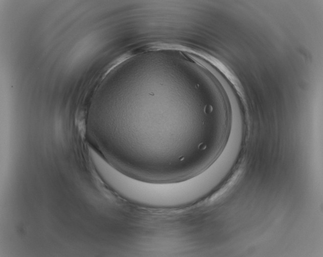 X0000114100905200910191639