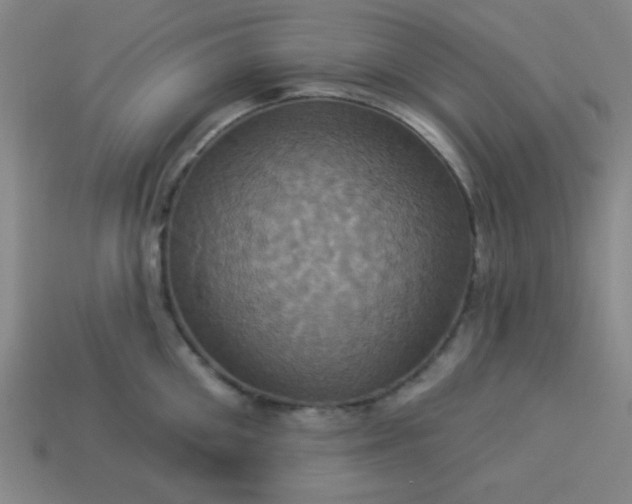 X0000114100906200910191639