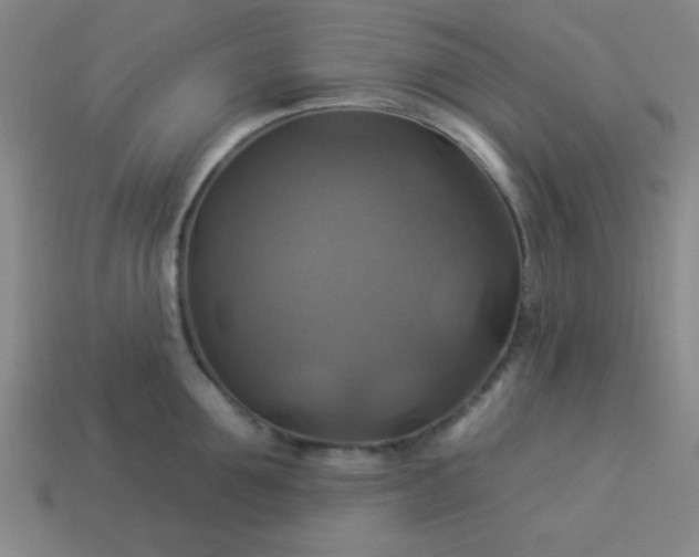 X0000114100907200910191639