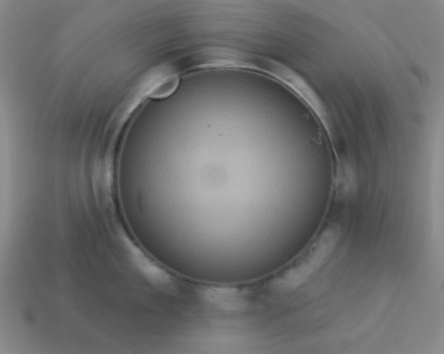 X0000114100909200910191639