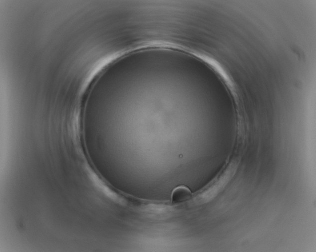 X0000114100910200910191639