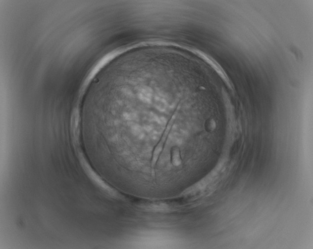 X0000114100911200910191639