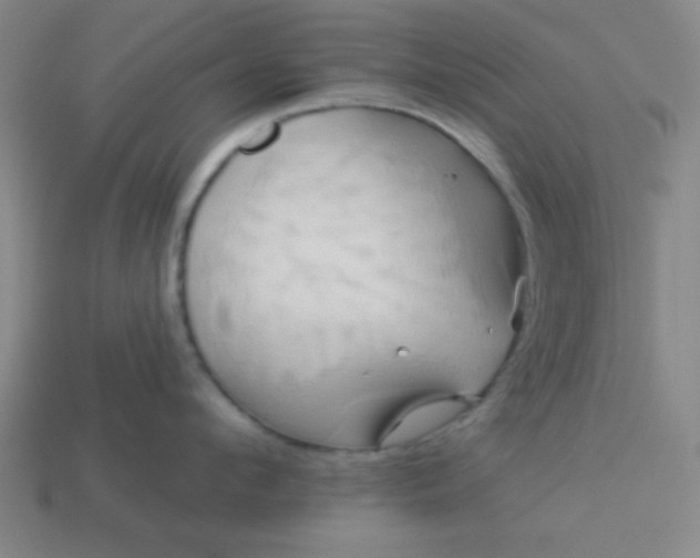 X0000114100912200910191639